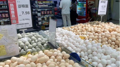 蛋價破6，價格還會漲嘛-上海邦森