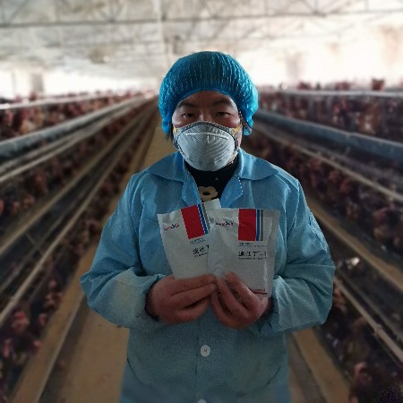 來(lái)吧，展示，好評(píng)如潮的速壯丁