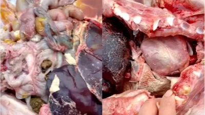 “小病”副豬，惹出的大麻煩！試試上海邦森提供的用藥方案