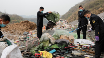 獸藥大檢查來了，覆蓋全行業(yè)！農(nóng)業(yè)農(nóng)村部嚴(yán)厲打擊使用原粉、中間體、人藥、自家苗、假獸藥等違法行為！-上海邦森