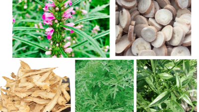 飼料便軟便、血斑蛋等陽氣不足、陰血虧虛引起的癥狀用上海邦森如意。