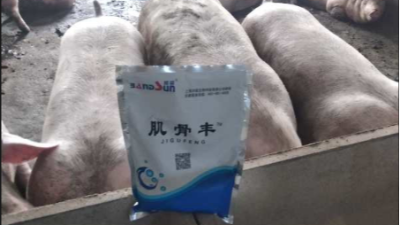 上海邦森肌骨豐豬場(chǎng)提高效益的有效方法，獲得客戶(hù)的認(rèn)可