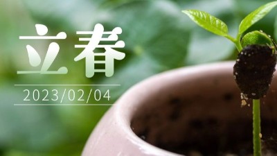 春氣始，萬物生-立春-上海邦森